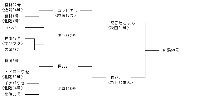 新潟53号