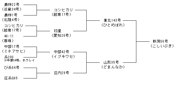新潟56号