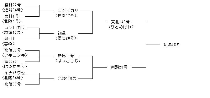 新潟58号
