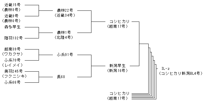 IL-z