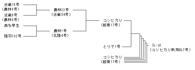 IL-zt