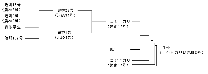IL-b