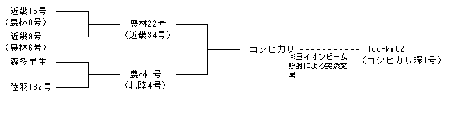 lcd-kmt2