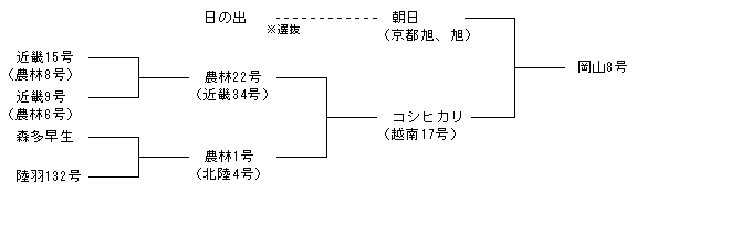 岡山8号