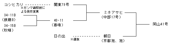 岡山41号