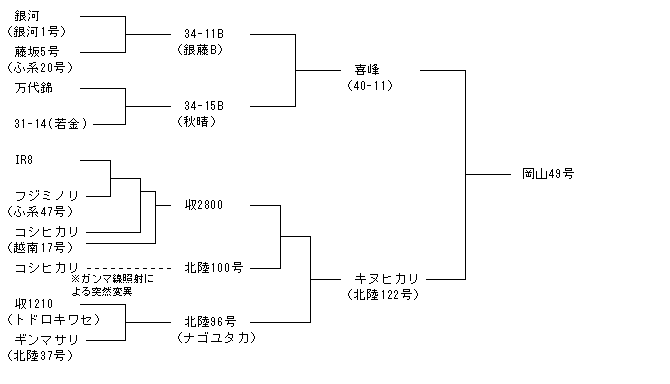 岡山49号