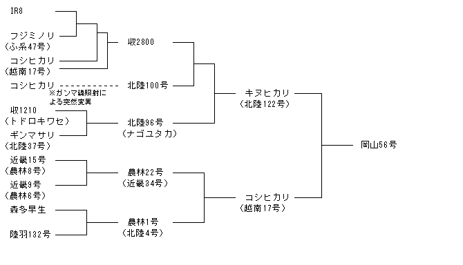 岡山56号