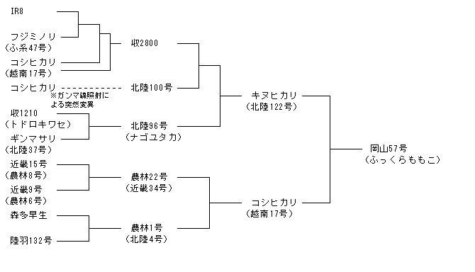 岡山57号