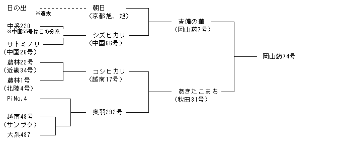 岡山葯74号
