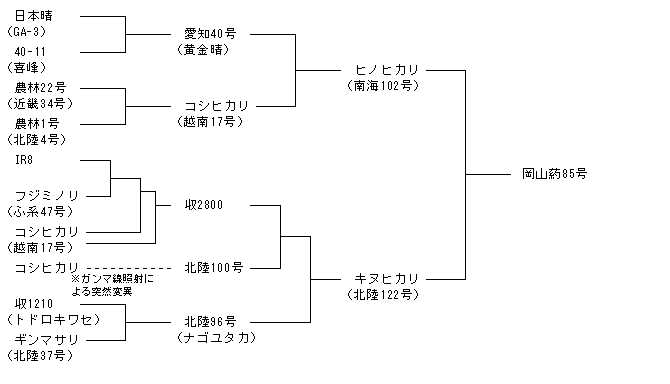 岡山葯85号