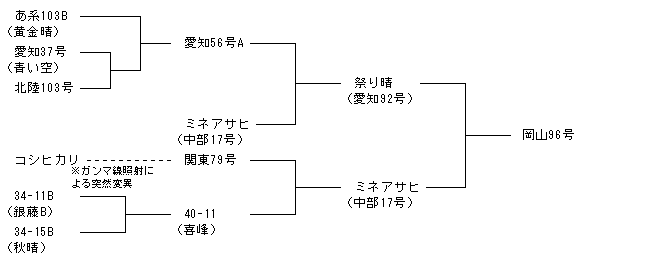 岡山96号