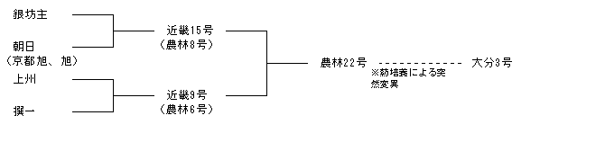 大分3号