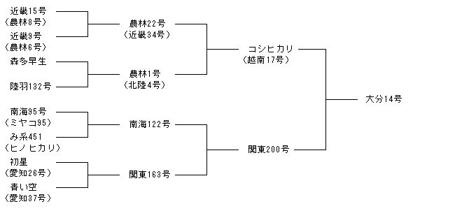大分14号