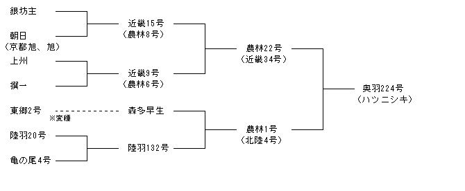 奥羽224号