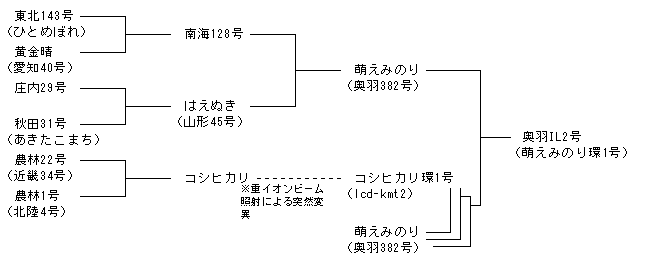 奥羽IL2号
