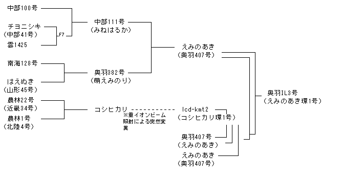 奥羽IL3号