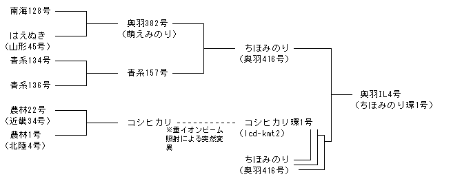奥羽IL4号