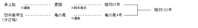 陸羽132号