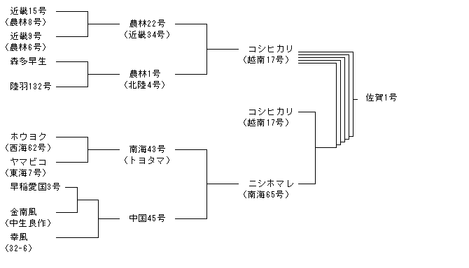佐賀1号