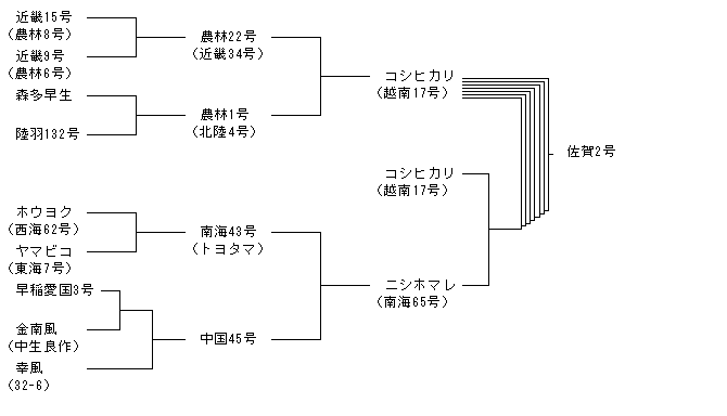 佐賀2号