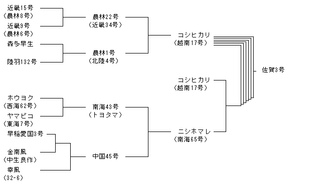 佐賀3号