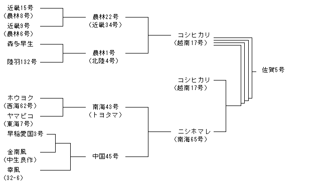 佐賀5号
