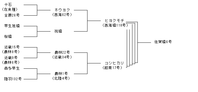 佐賀糯6号