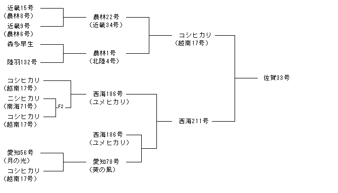 佐賀33号