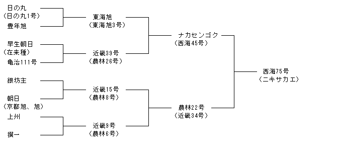 西海75号