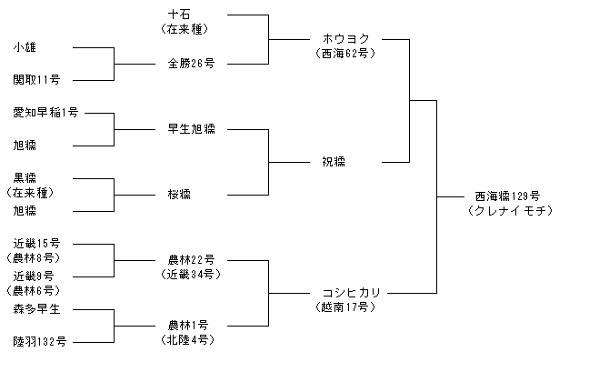 西海糯129号
