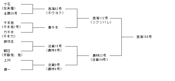 西海158号
