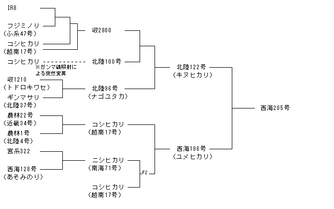 西海205号