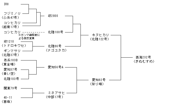 西海232号