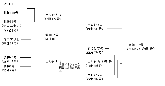 西海IL7号