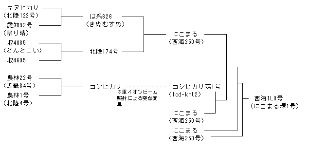 西海IL8号