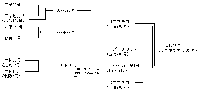 西海IL10号