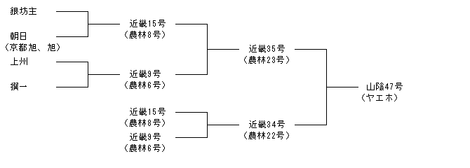 山陰47号