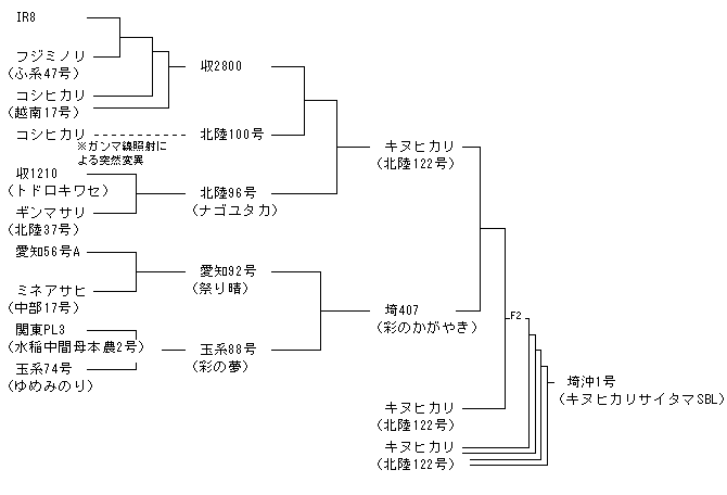 埼沖1号