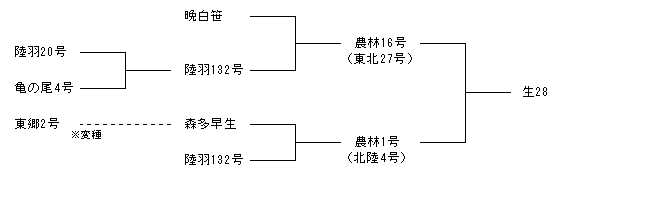 生28