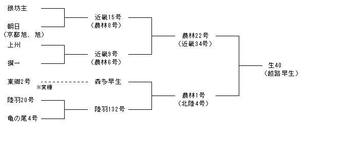 生40