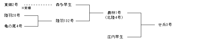 せ系3号
