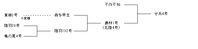 せ系4号