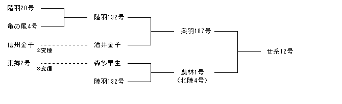 せ系12号