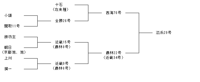 滋系29号