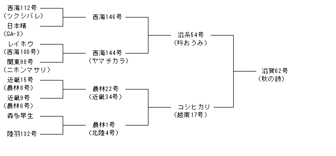 滋賀62号