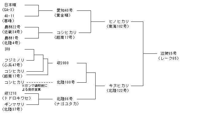 滋賀65号