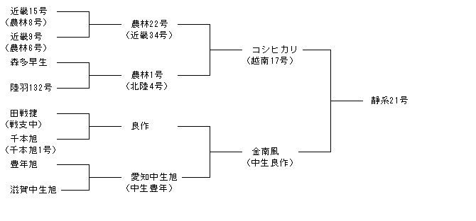 静系21号