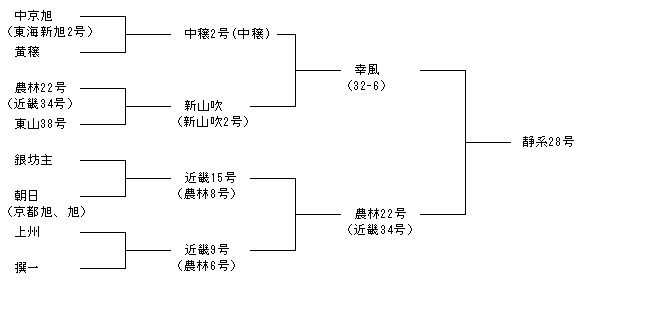 静系28号