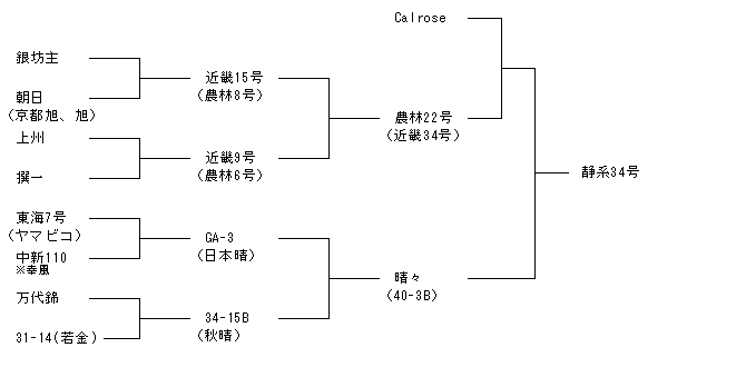 静系34号