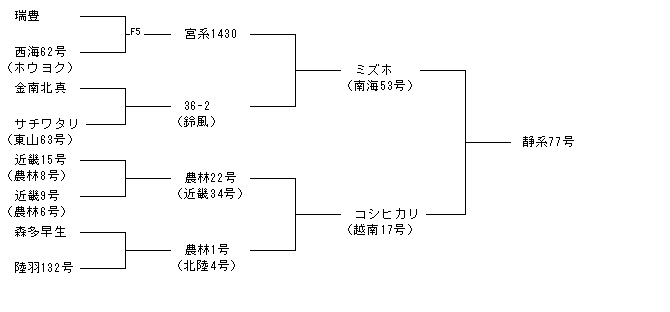 静系77号